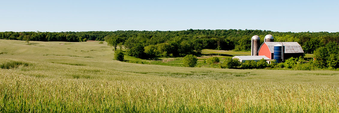 Farm To Table